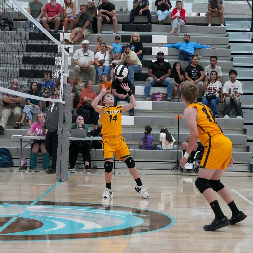 A Scorpions player wearing jersey number 14 tracks the volleyball overhead in set position on the court while another teammate in yellow looks on, with filled bleachers in the background.