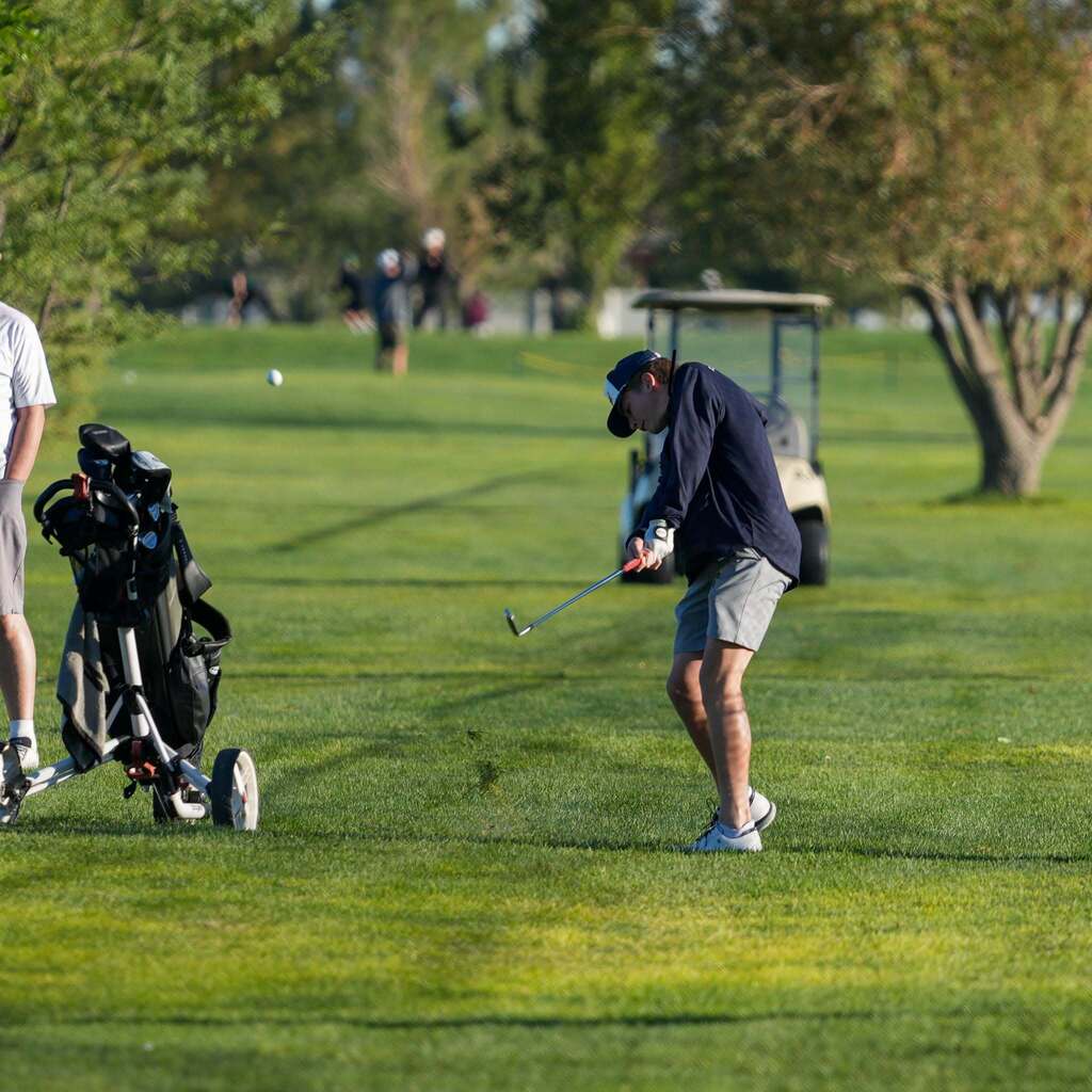 A player in short sleeves and grey shorts strikes an iron shot off the fairway, with his push cart and golf bag parked right beside him.