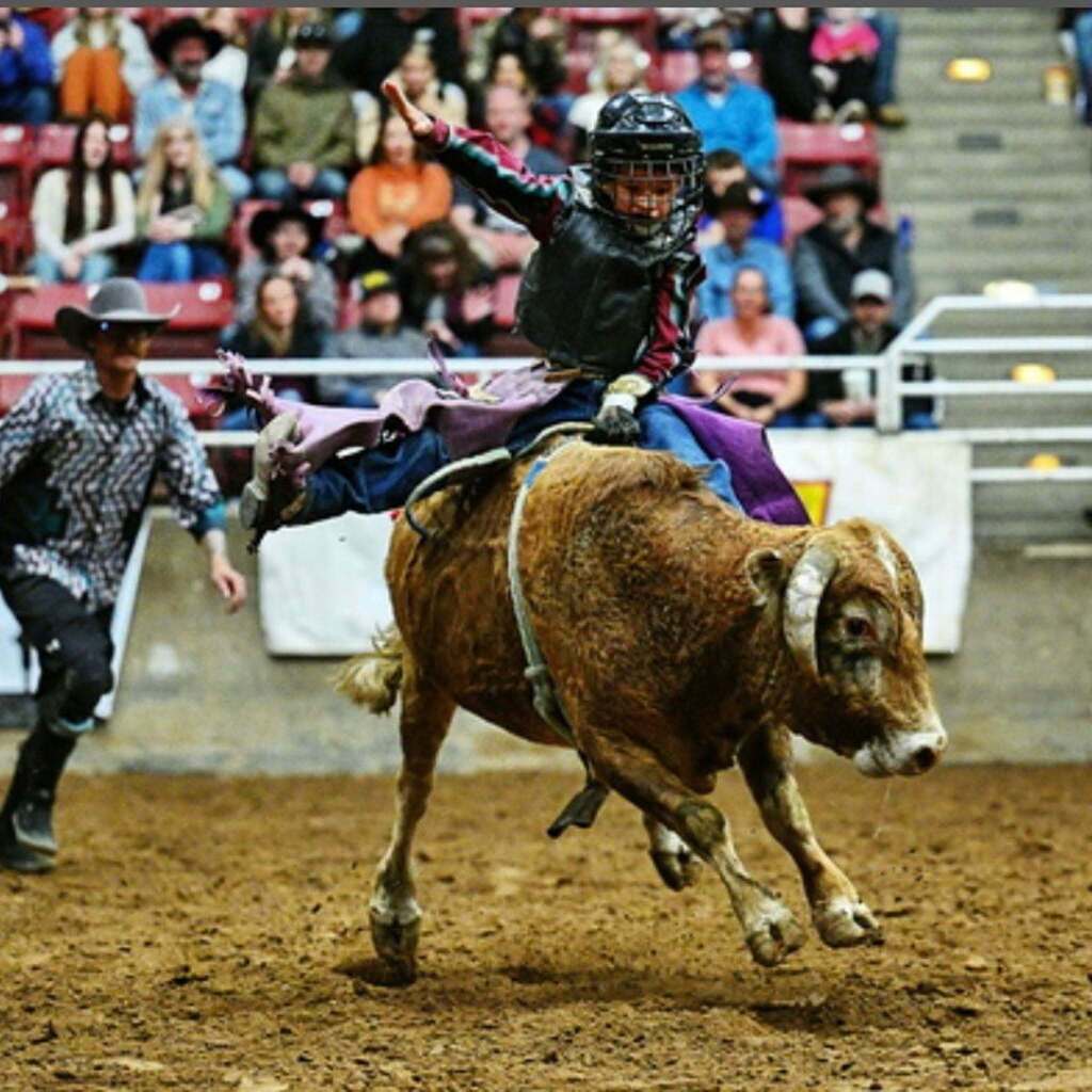 A young rider wearing a protective helmet and purple chaps holds on tight while riding a brown bucking bull in an arena full of spectators.