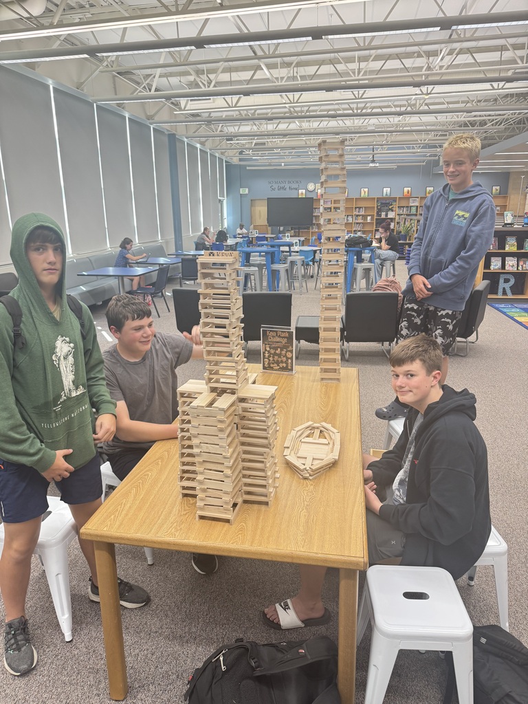 Makerspace Challenge in the library
