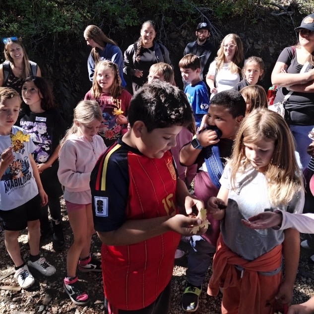 kids looking at seeds