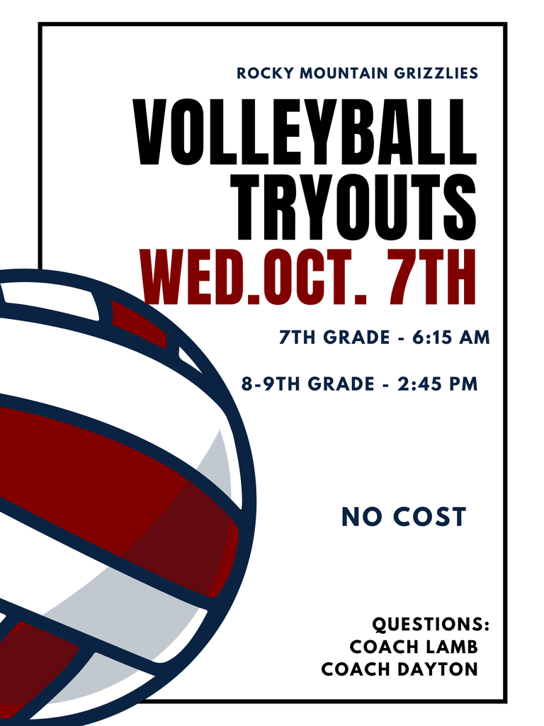 picture of a volleyball with text
