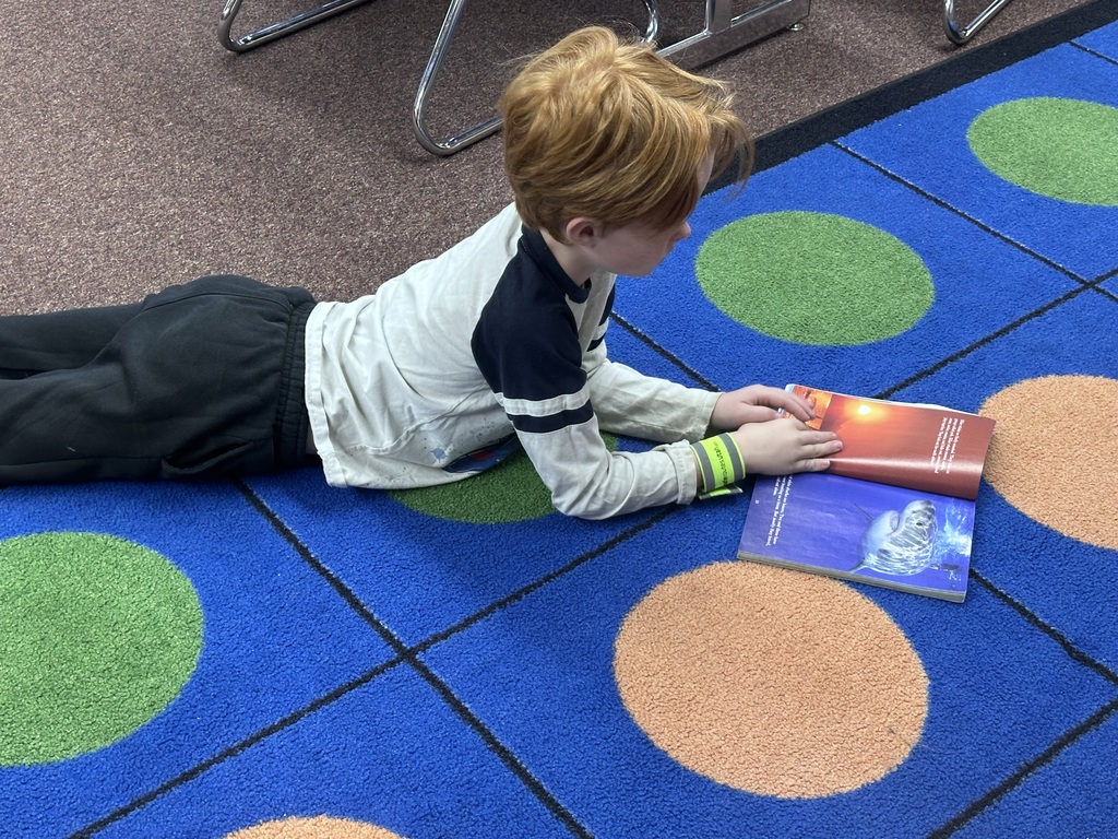 A student lying on a colorful polka-dot classroom rug deeply absorbed in a picture book. 
