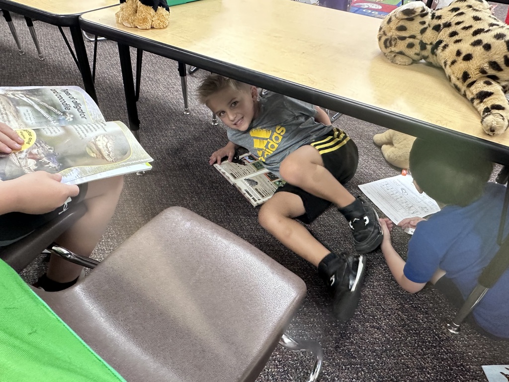 A student lying happily under a classroom desk while reading a book about alligators and crocodiles. 