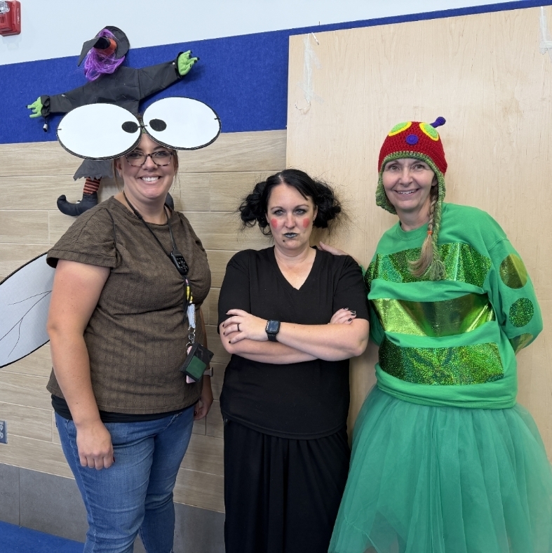 teachers dressed as book characters