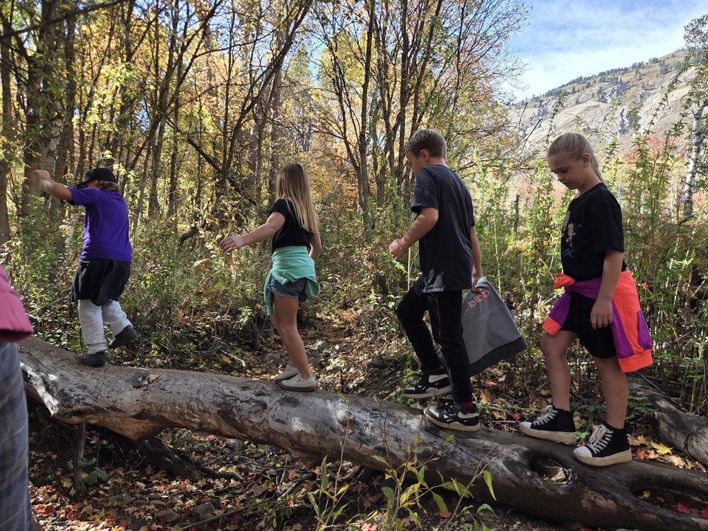 students hiking in the woods