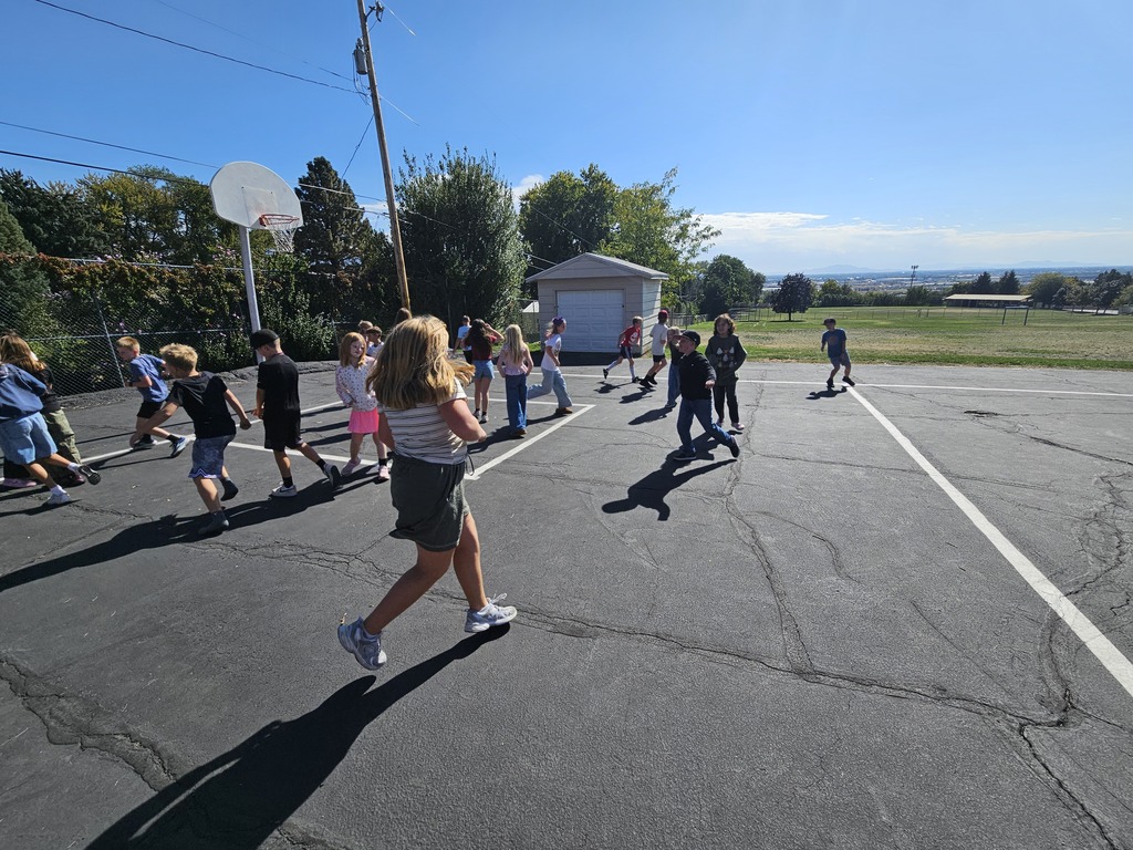 Students acting as liquid particles, moving with moderate freedom within defined boundary lines on the blacktop.