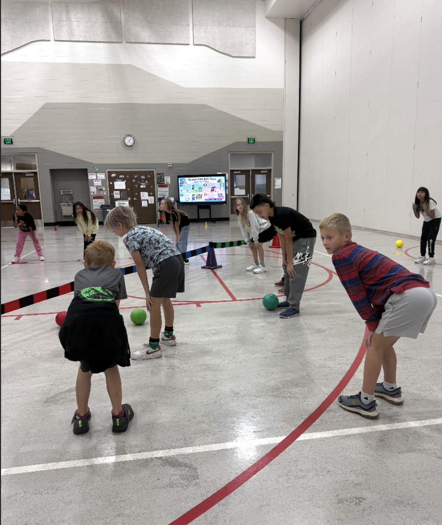 students playing a game with balls in PE