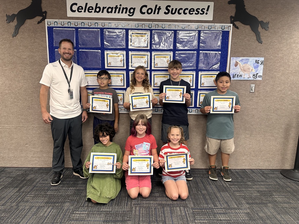 Colt Success winners