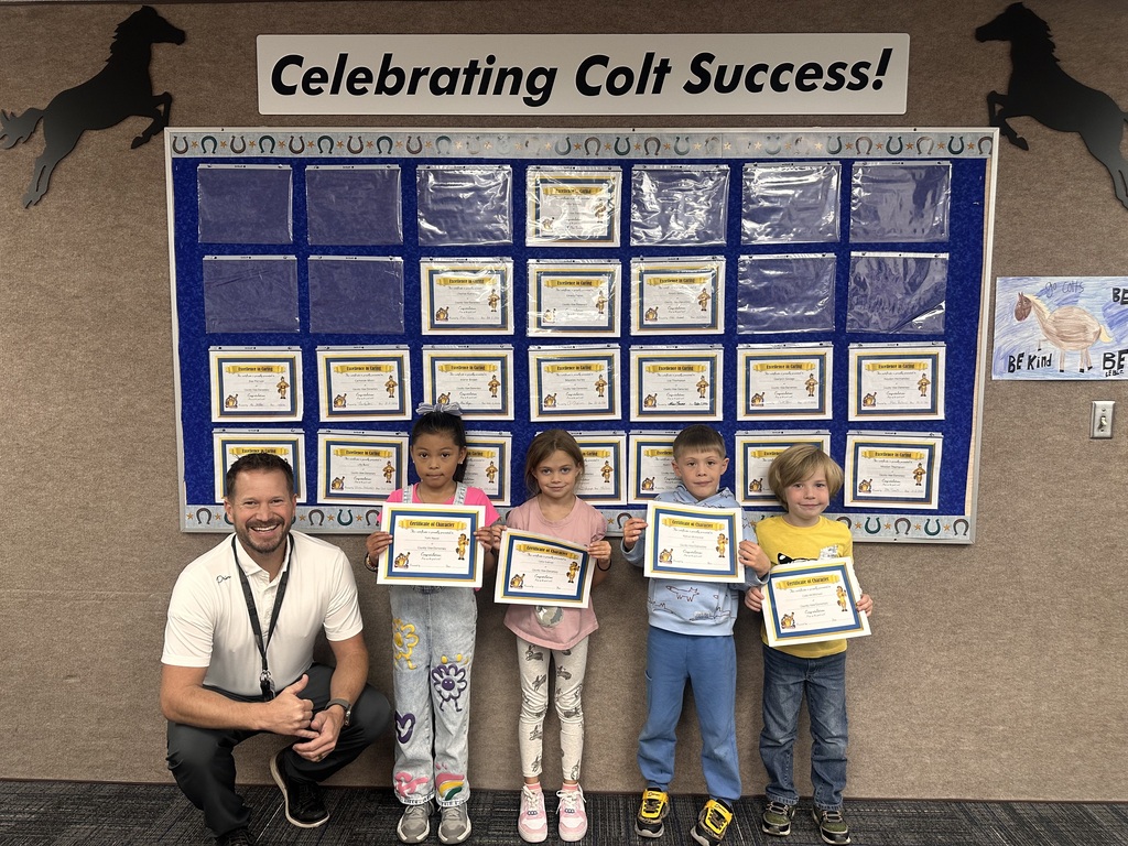 Colt Success winners
