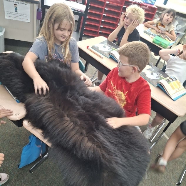 kids looking at t a bear skin