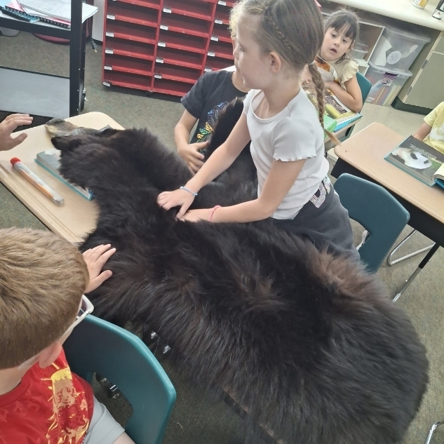 kids petting a bear skin