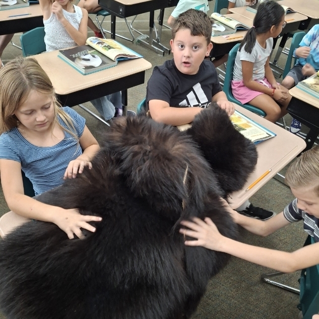kids petting a bear skin