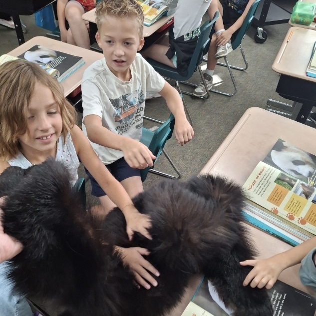 kids petting a bear skin