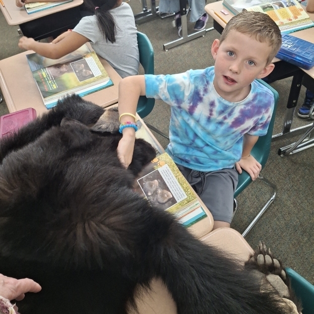 boy petting a bear skin