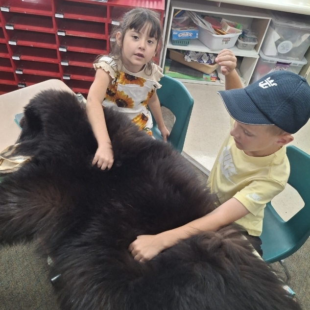 kids petting a bear skin