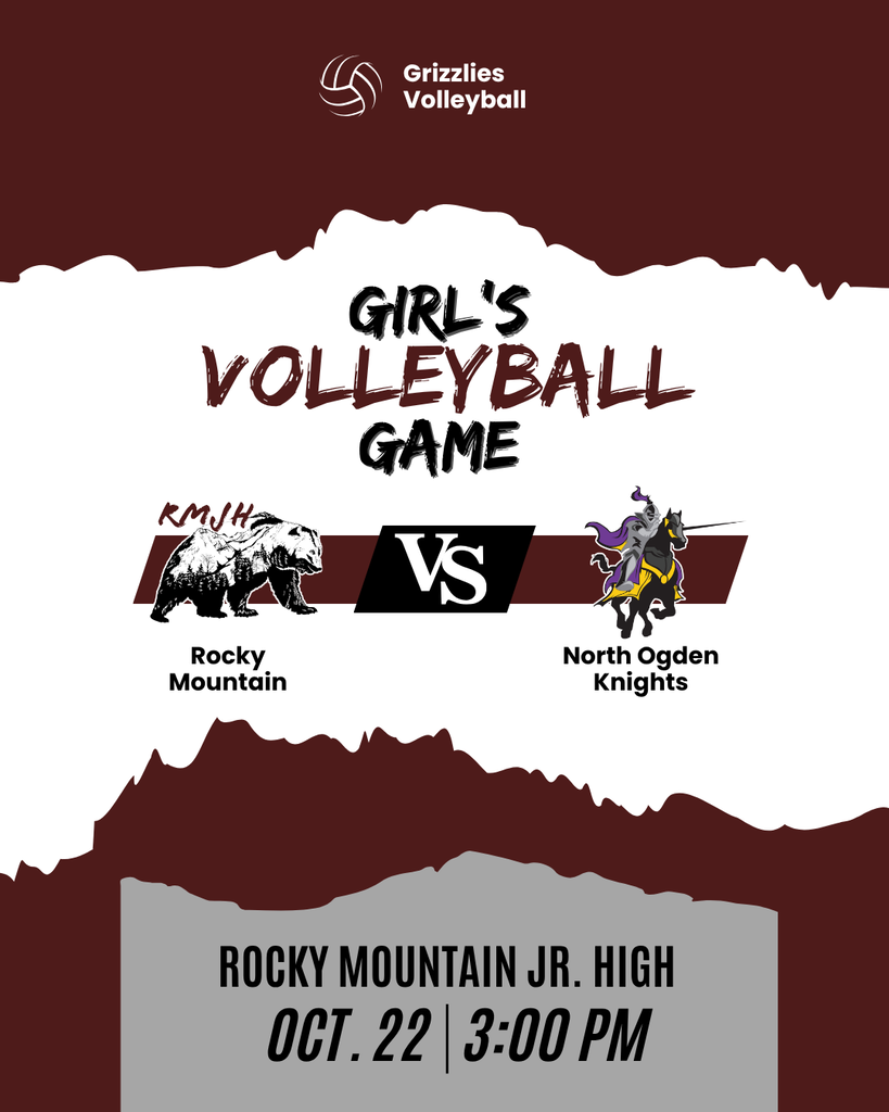 volleyball with text