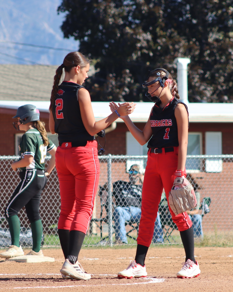 photographs of Roy Jr Softball team