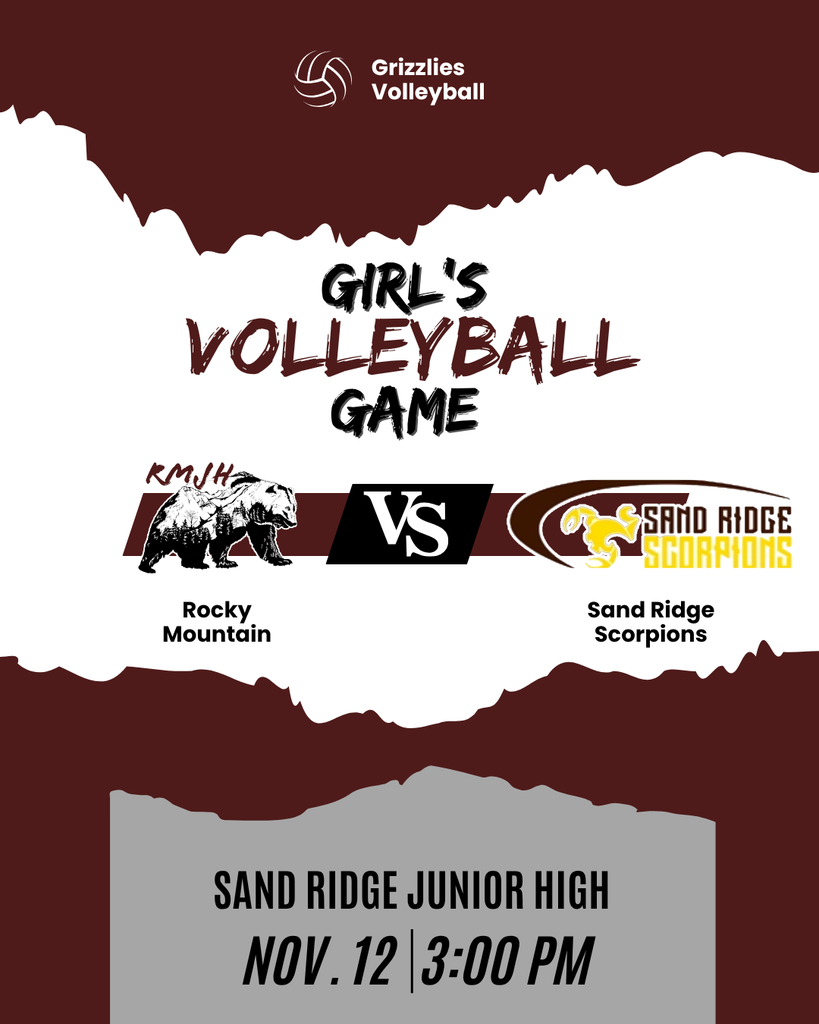 volleyball with text