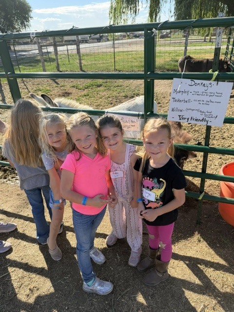 Captures students posing smilingly in front of the donkey farm fence.