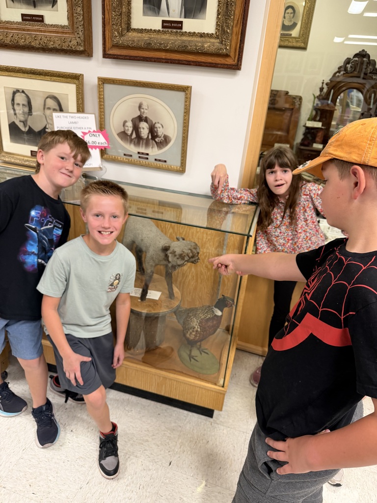 Students gathered around a display case containing historical artifacts and taxidermy inside the Pioneer Museum.