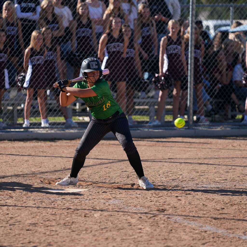 Image 2: A batter in a green Wahlquist uniform standing in a focused batting stance in the batter's box awaiting the pitch.