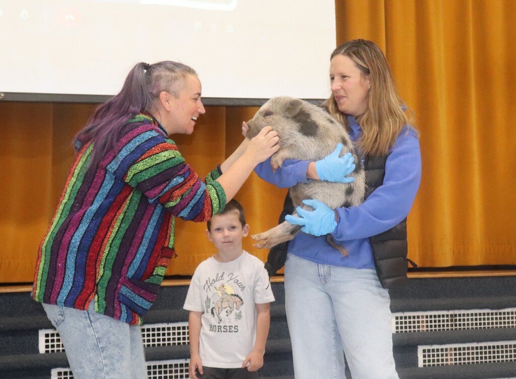 Faculty staff kissing a pig