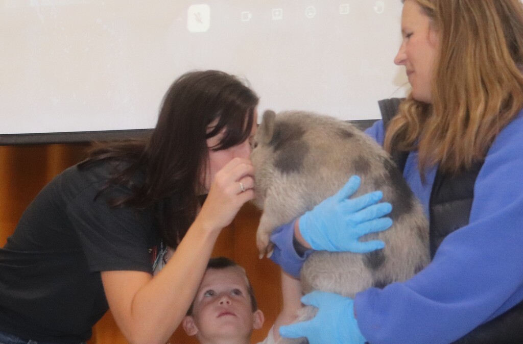 Faculty staff kissing a pig