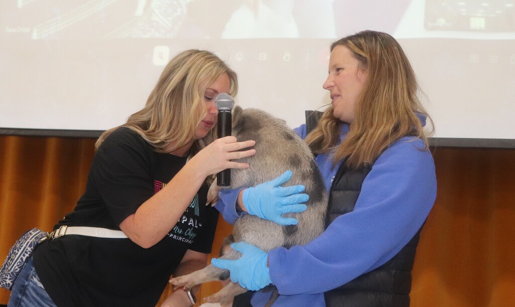 Faculty staff kissing a pig