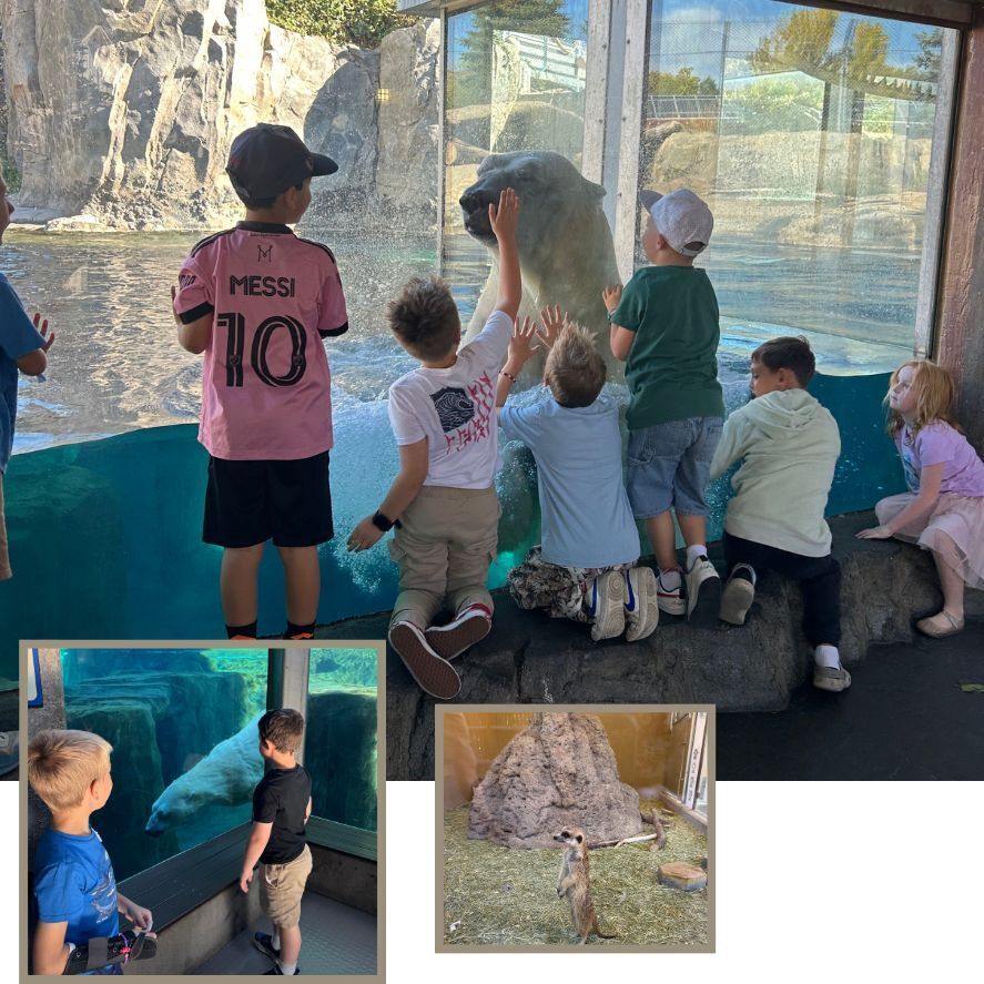 Hogle zoo 2nd grade spotlight