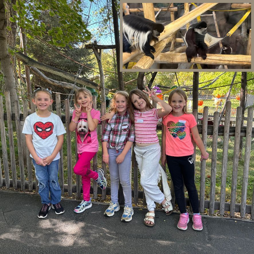 Hogle zoo 2nd grade spotlight