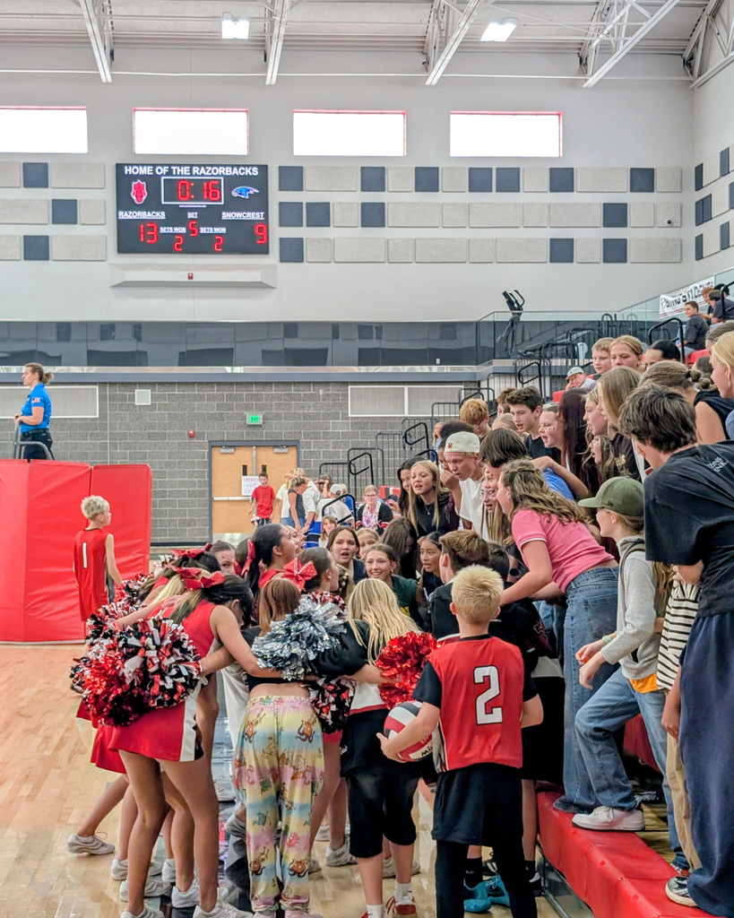 photographs of Roy Jr High boys volleyball team season