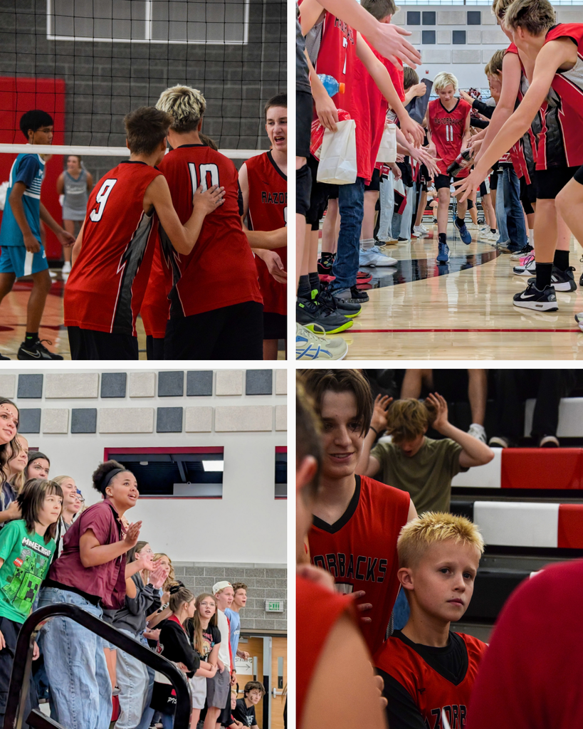 photographs of Roy Jr High boys volleyball team season