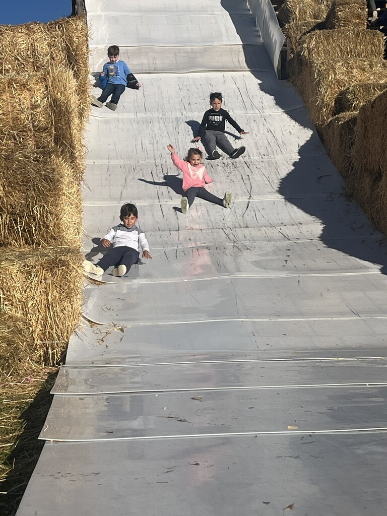Children sliding down a giant white slide built into stacks of hay bales at a farm.