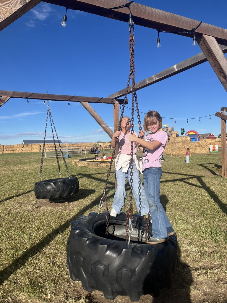 Two smiling girls in pink shirts standing together on a swinging tractor tire at an outdoor farm playground. 