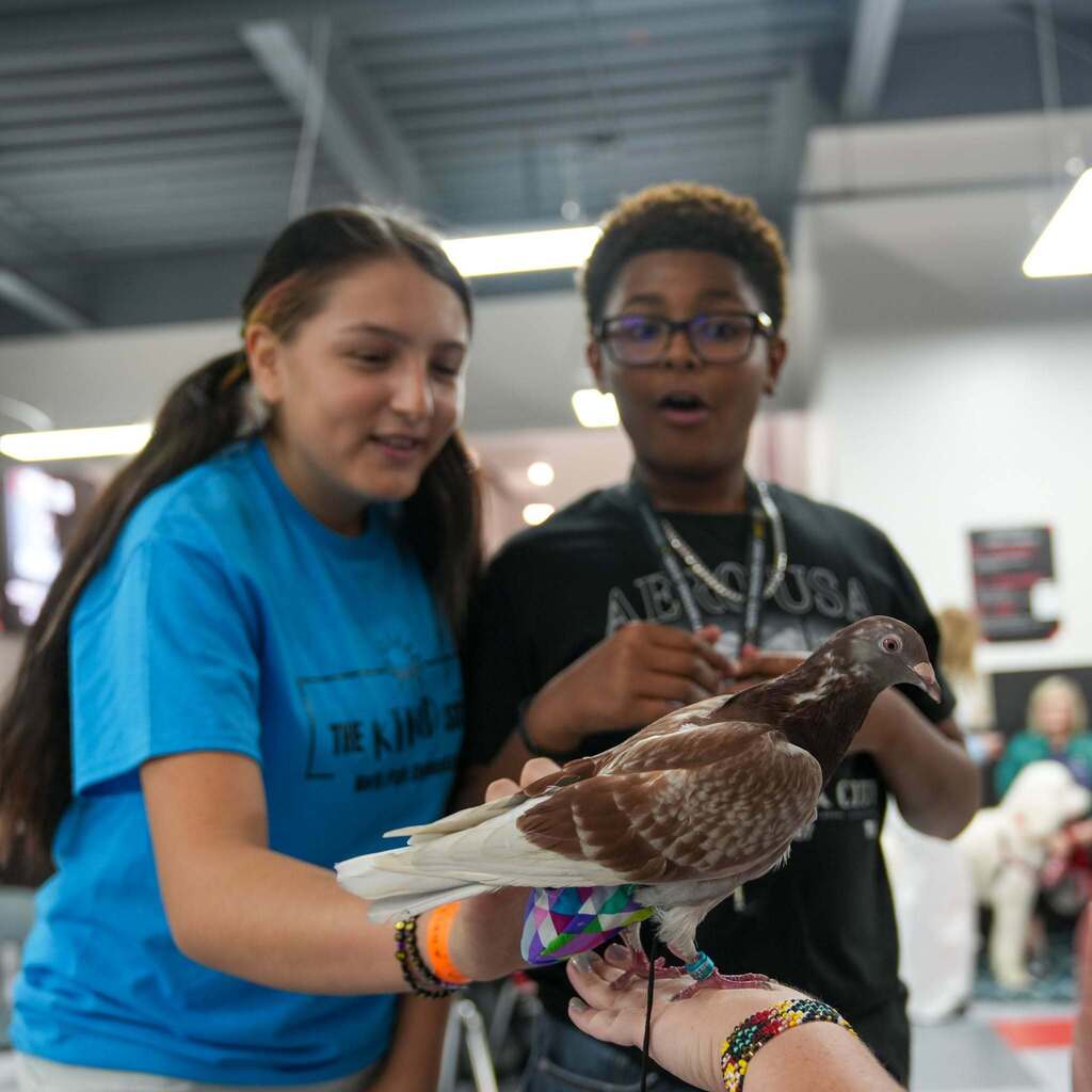 Image 7: A young female student in a blue shirt showing a brown pigeon perched on a hand to a surprised and excited classmate wearing glasses.