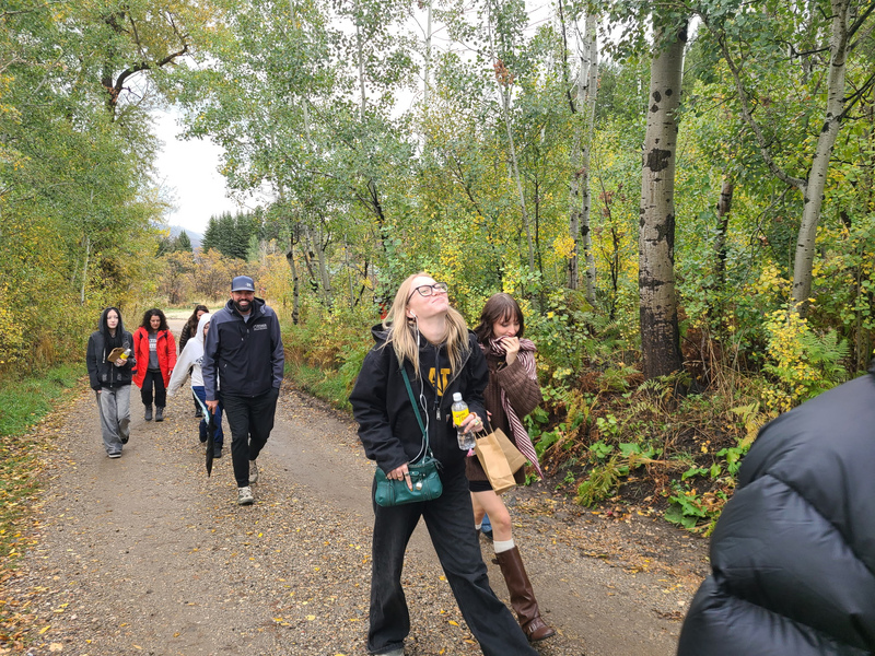 more hike