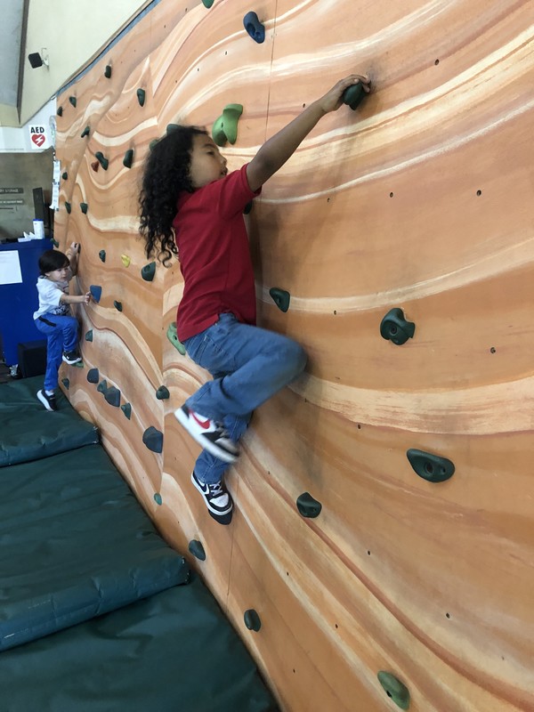 climbing rock wall