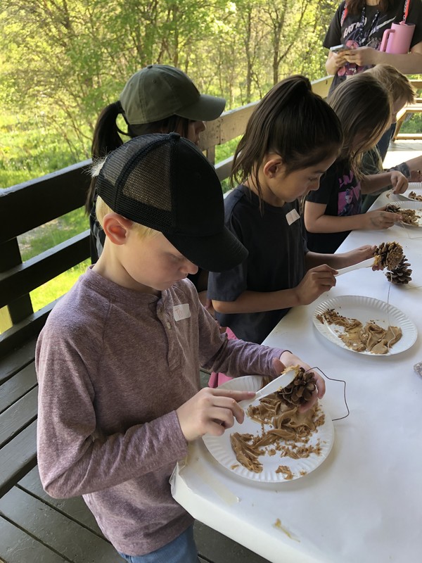 making bird feeders