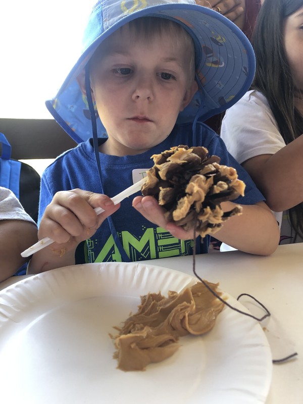 making bird feeders