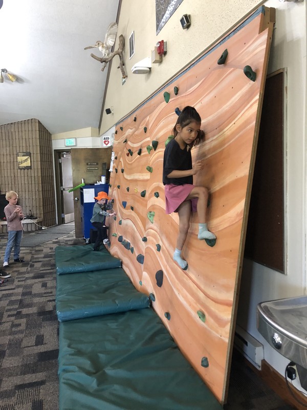 climbing the rock wall