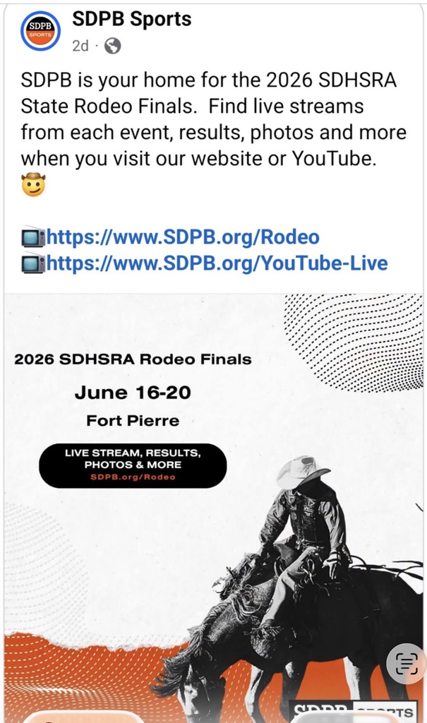 rodeo info