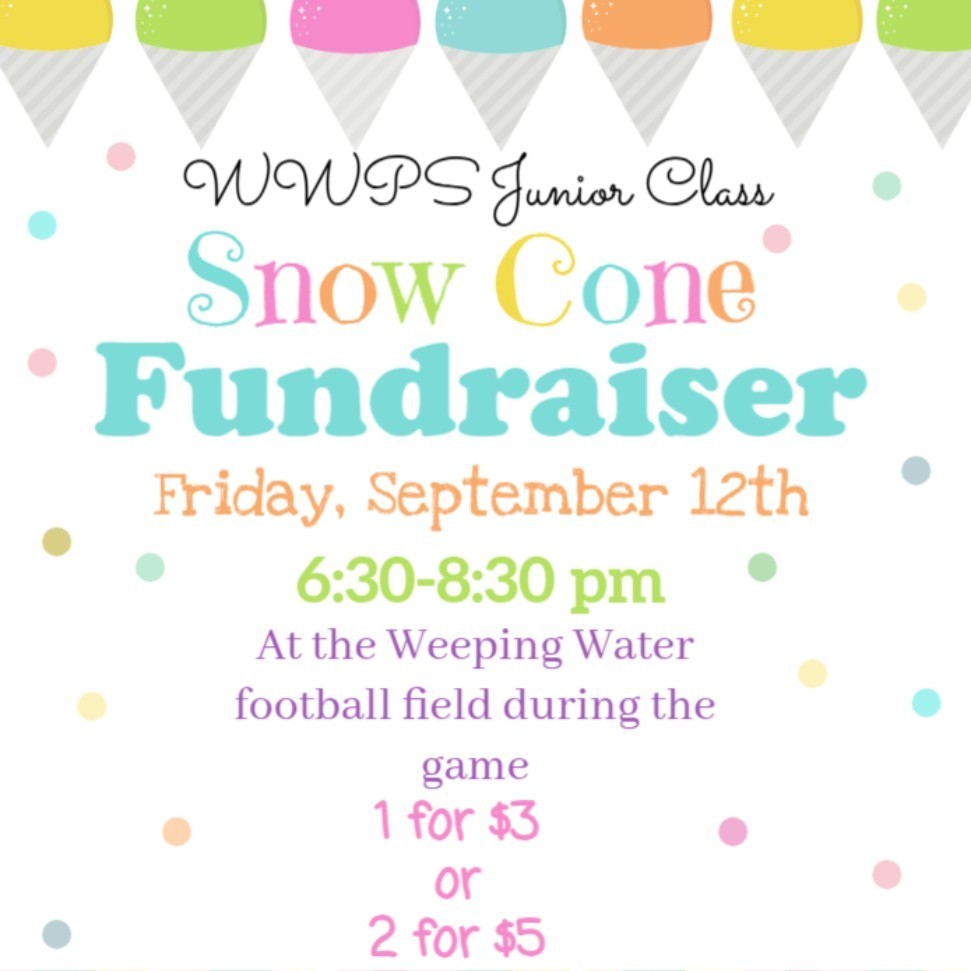 show cone fundraiser