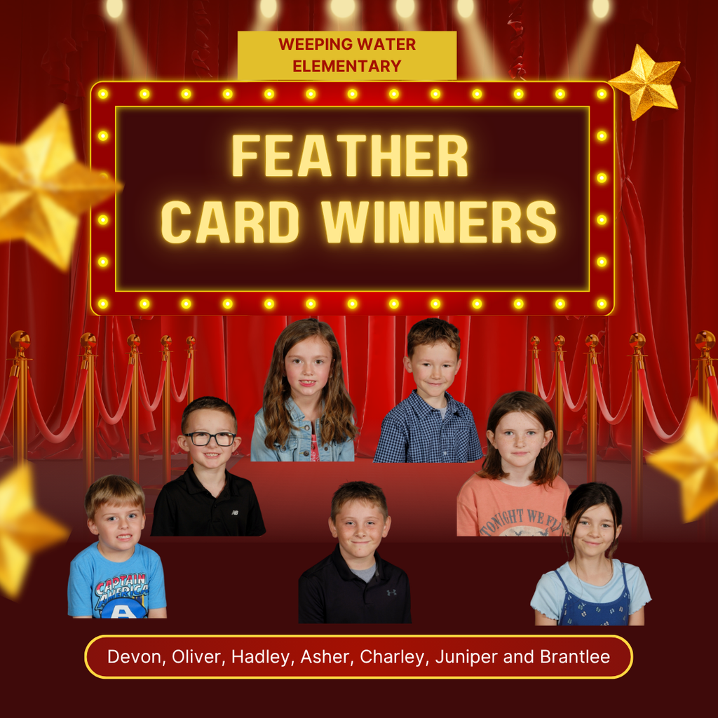 feather card winners