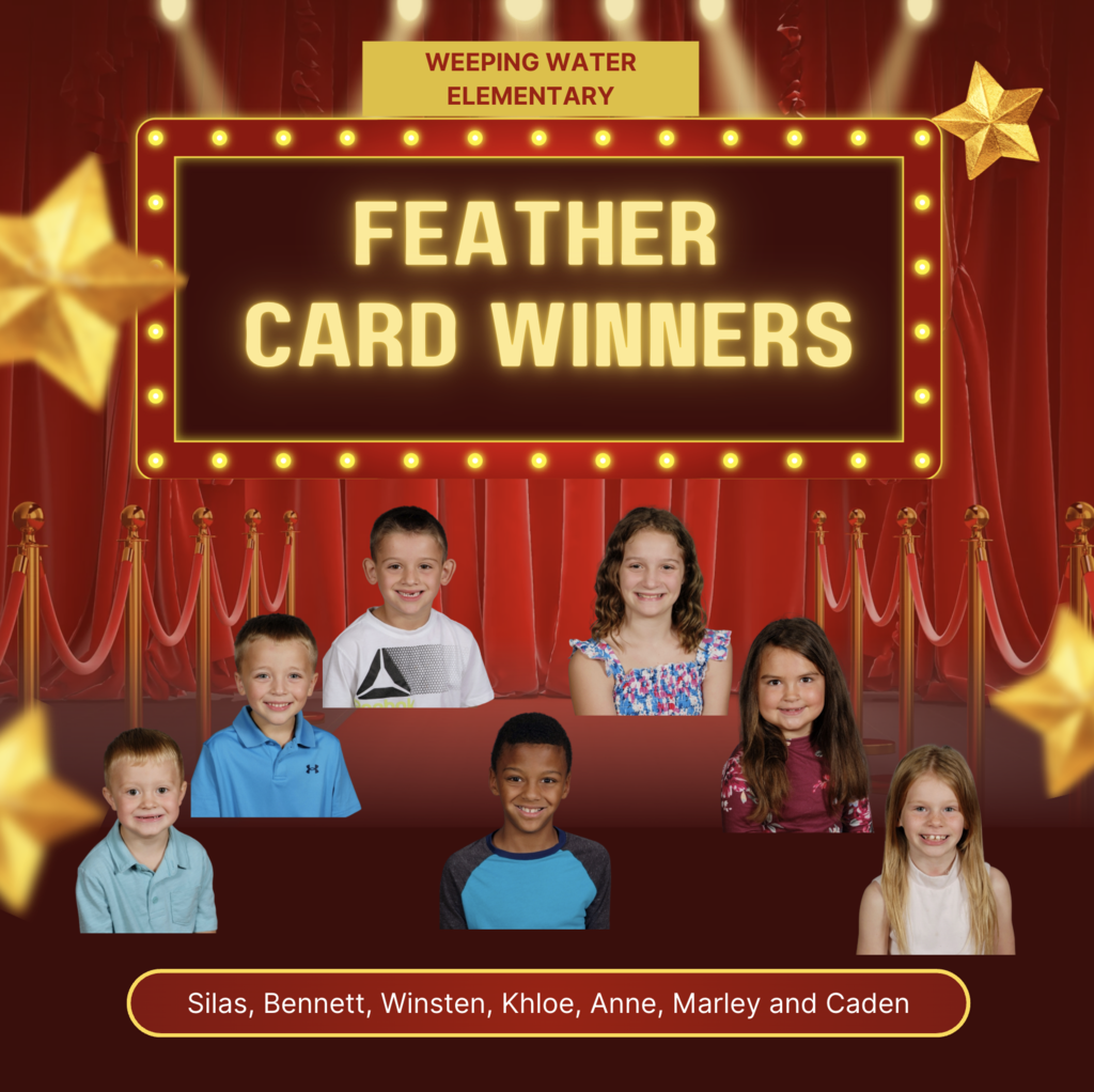 feather card winners