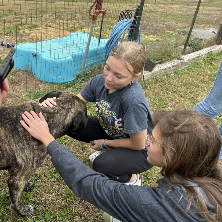 “Vivian” enjoyed scratches from Aubree and Sawyer.
