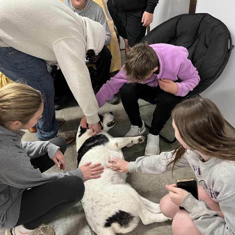 you would never guess that “Champion” only had 3 legs and he definitely loved the attention!