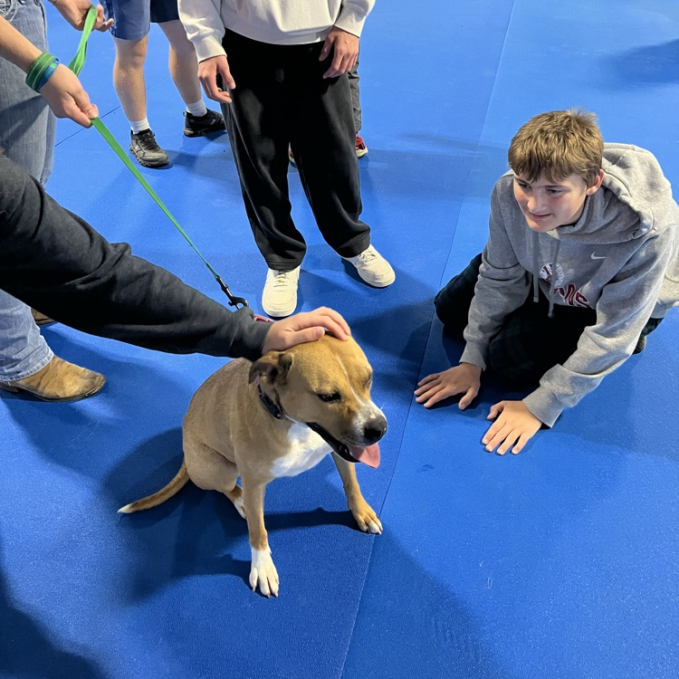 Torin was trying to get the attention of “Harvest” and later he got to walk her through an obstacle course.