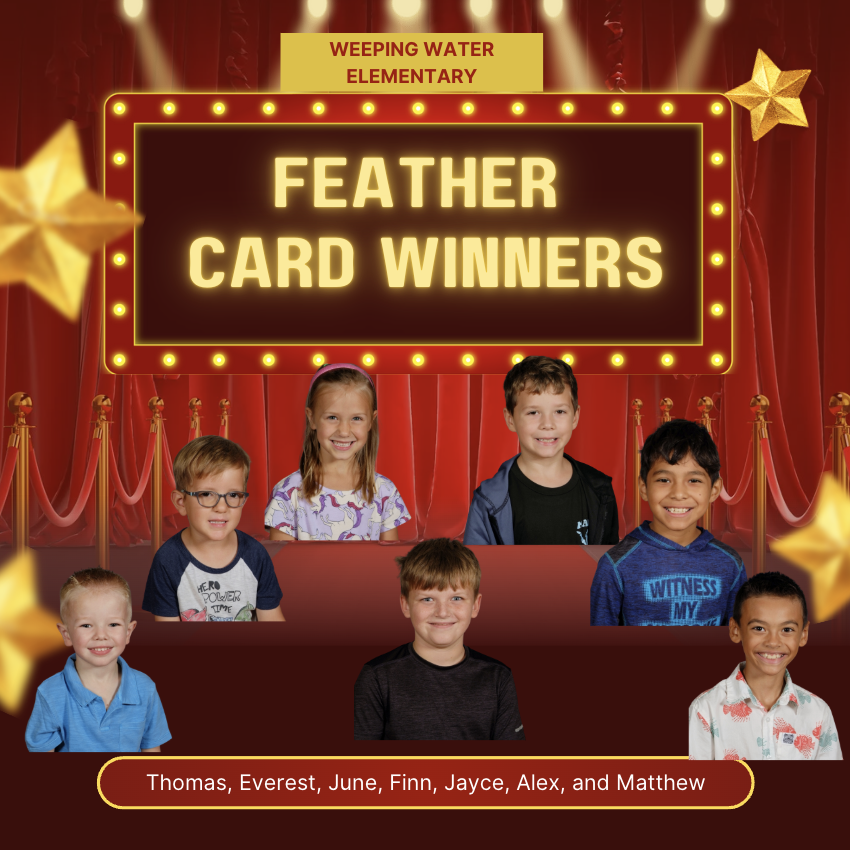 Feather Card winners