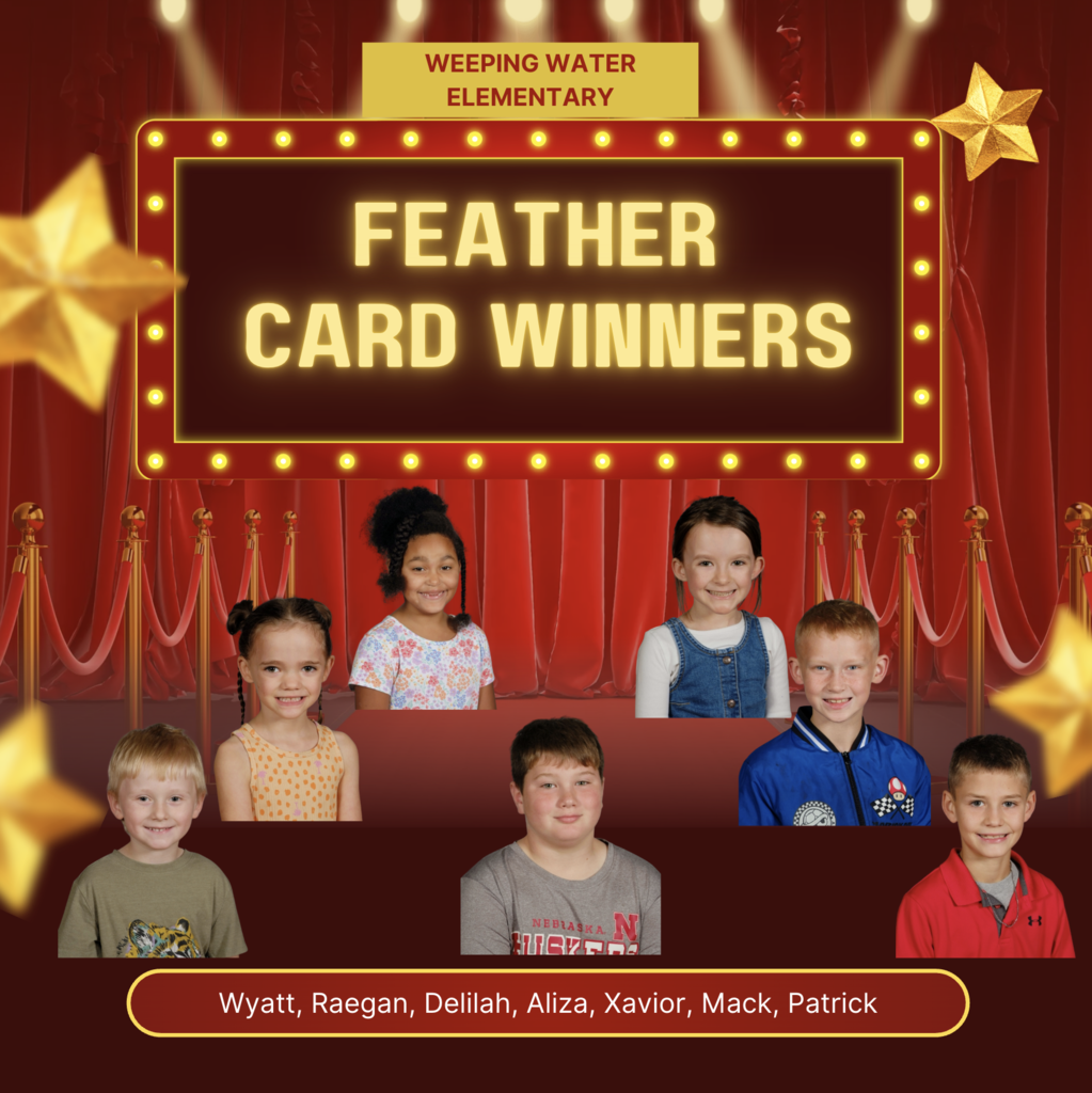feather winners